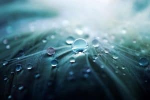 fragrances technologies VOXELE DEVELOPMENTS αρώματα